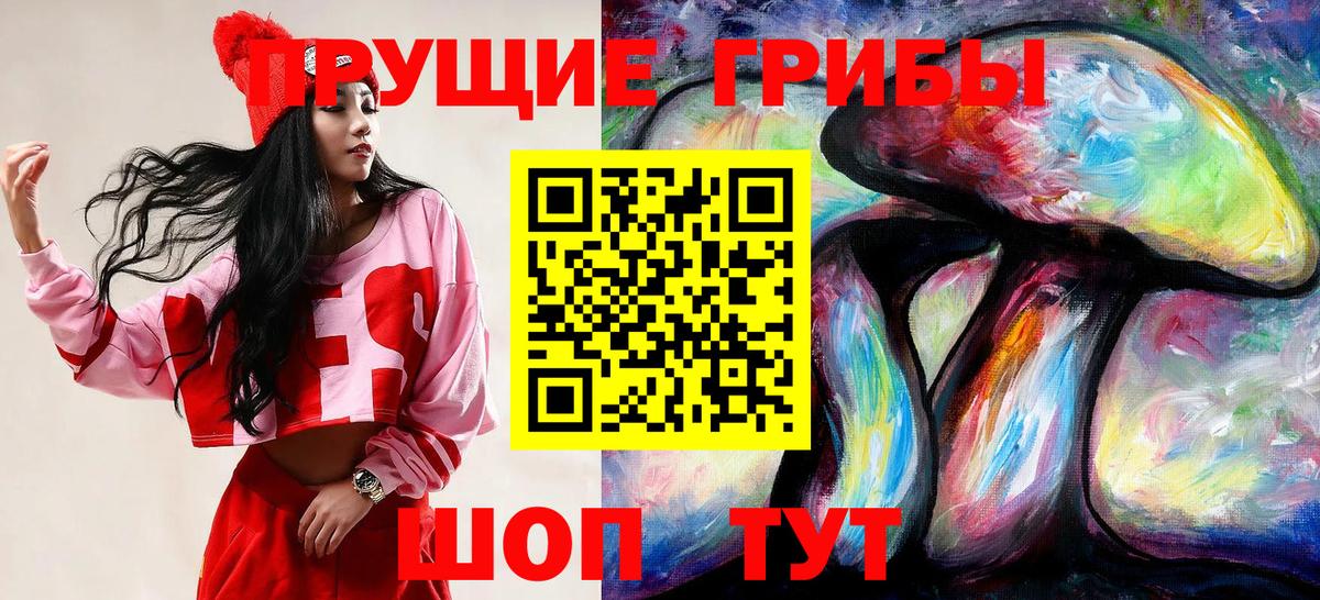 Киржач  Псилоцибиновые грибы прущие грибы  Вход с VPN  Галлюциногенные грибы мицелий 